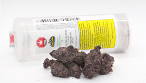 Shucanna - TROPICIAL CHERRY (7g)