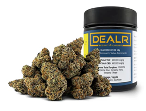 Dealr - BLIZZARD OF OZ (14g)