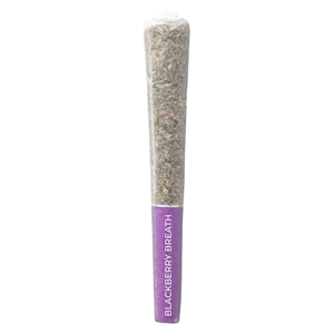 Pistol and Paris: BLACKBERRY BREATH PR (3x.5g)