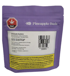 Pineapple Buds - LEMONADE GUSHERS (3.5g)