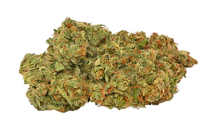 Er'What - DURBAN POISON (28g)