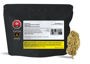 Station House - JACK HERER (14g)