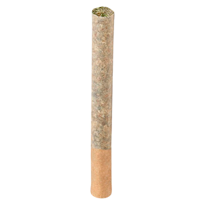 Cappellano Cannabis Co - MAPLE BLIZZARD PRE-ROLL (1x .5g)