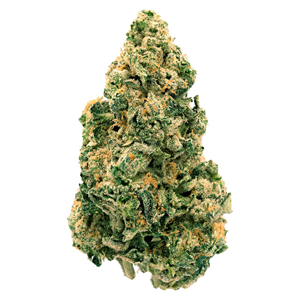Back Forty - GALACTIC JACK (7g)